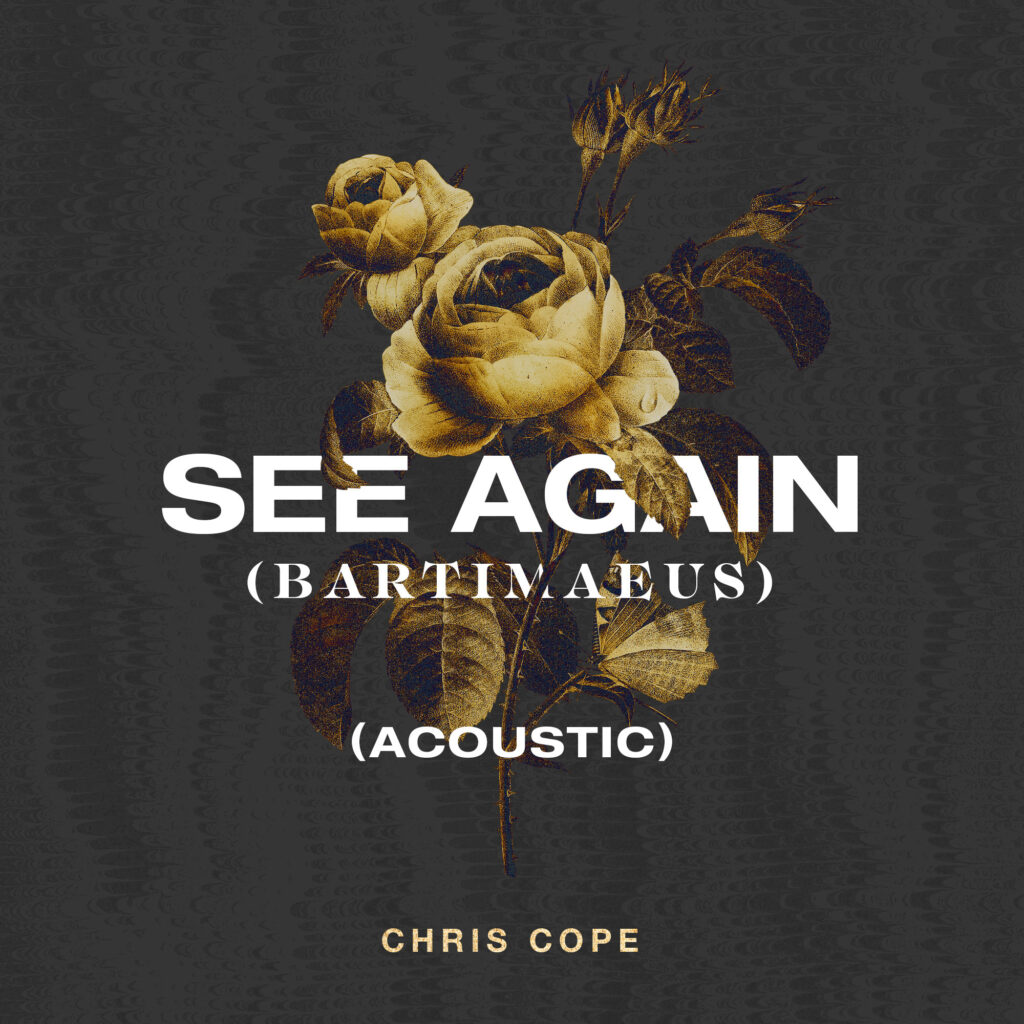 See Again (Bartimaeus) Acoustic - Album Cover